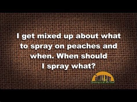 Q&A – What should I spray on my peaches and when? - Family Plot | Dwarf ...