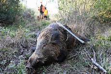 armadietti per fucili da caccia l atc di ascoli propone un corso per cacciatori di armadietti per fucili da caccia l atc di ascoli propone un corso per cacciatori di