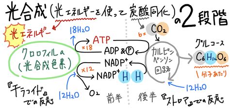 Learn OS Module Python From Beginning に対する画像結果