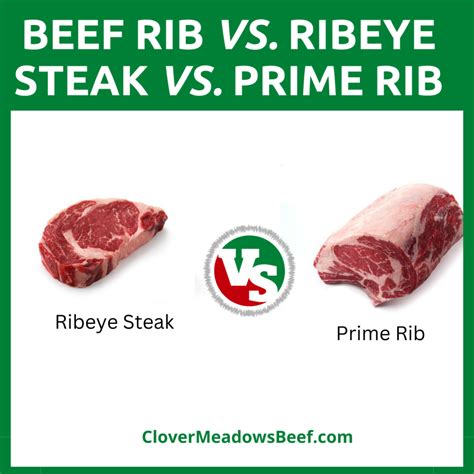 New York Strip Steak vs. Ribeye Steak: What's the Difference - Clover ...