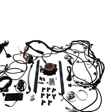 Image result for Fitech Ultimate LS Setup