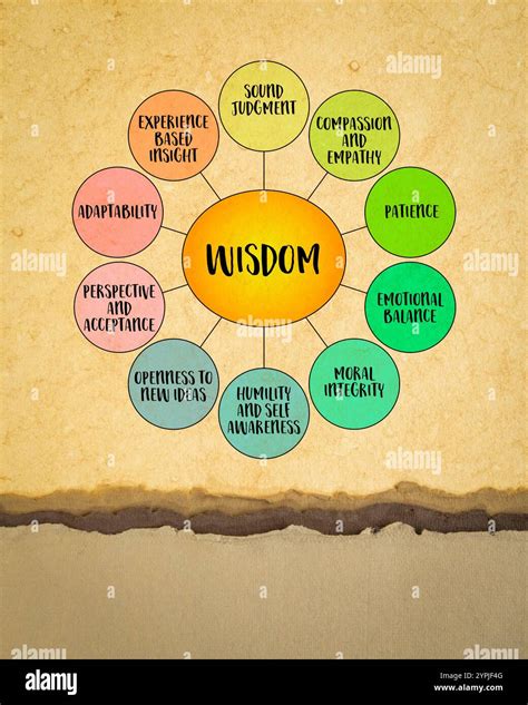 Insight Knowledge Wisdom 的图像结果