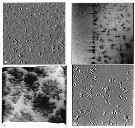 Application of Atomic Force Microscopy as Advanced Asphalt Testing ...