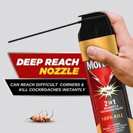 Buy Mortein 2 In 1 Insect Killer Spray, 200 ml | 19 Minutes Delivery ...