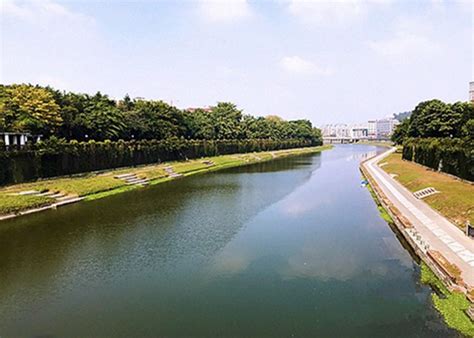 今年1至5月深圳河水质达1982年来最好水平_广东频道_凤凰网