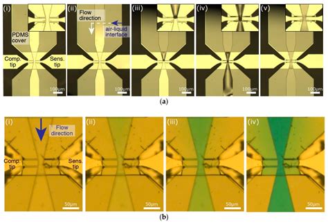 Developing a MEMS Device with Built-in Microfluidics for Biophysical ...