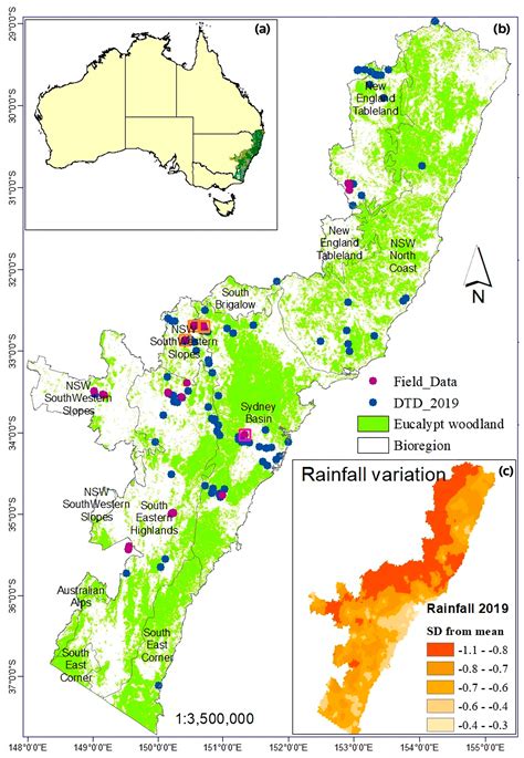 Impacts of the 2019–2020 Black Summer Drought on Eastern Australian Forests