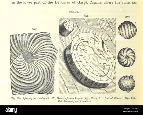 Image result for Geological Principles