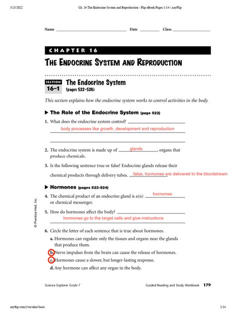 Image result for Endocrine System Worksheet Answers