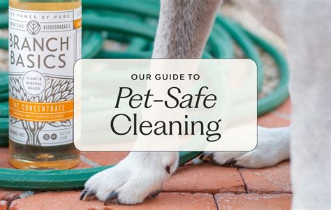 Our Guide To Pet-Safe Cleaning Products