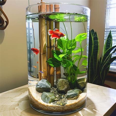 10 Betta Fish Bamboo Vase Ideas