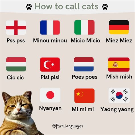 fark.languages | How to call cats in different languages # ...