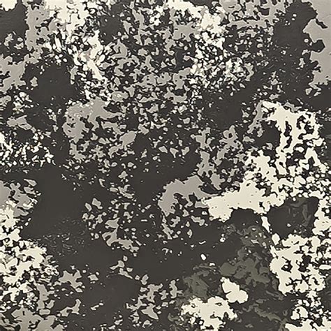 Image result for Springfield Armory Model 2020 Boundary