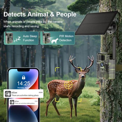 Game Camera Issues 的图像结果
