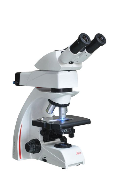 Fluorescence Microscope 的图像结果
