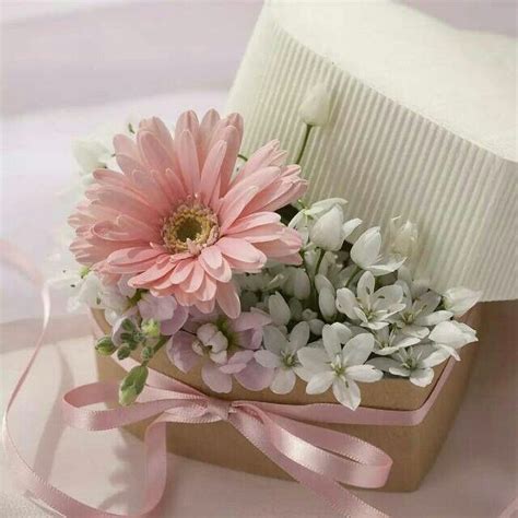 floral images for dp