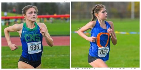 Girls cross country: Experienced runners, newbies among sectional ...