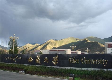 西藏大学-掌上高考