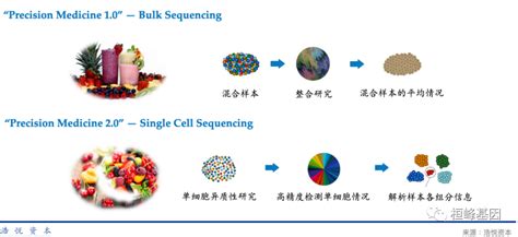 qPCR 的图像结果