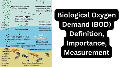 Chemical Oxygen Demand (COD) - Definition, Measurement, Uses - Biology Notes Online