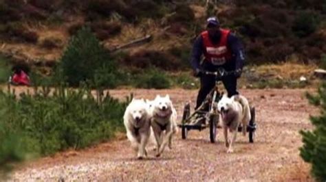 Sun Dogs 的图像结果