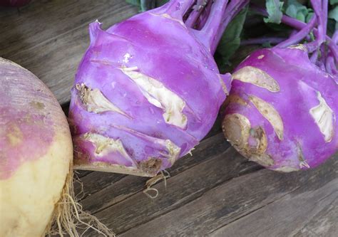 Texas Oven Co. Root Vegetables Worth Trying - Texas Oven Co.