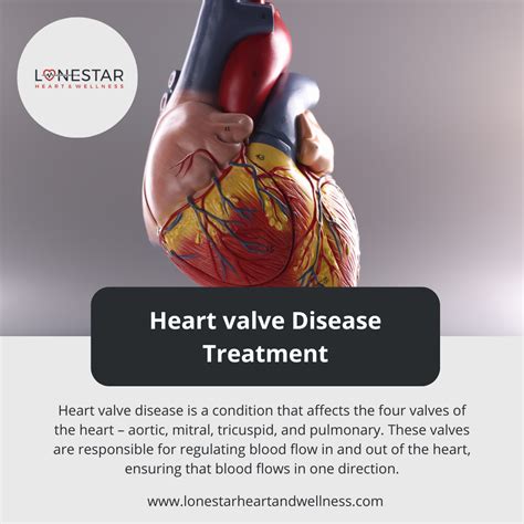 Optimizing Health: Heart Valve Disease Treatment in Waco, TX | by Vani .K | Mar, 2024 | Medium