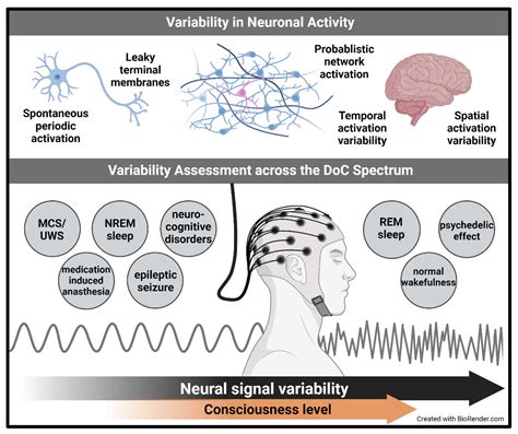 The Constrained Disorder Principle May Account for Consciousness