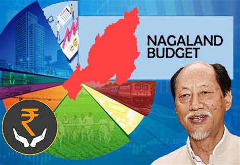 Nagaland CM announces Rs 65 cr micro-finance scheme for MSME ...