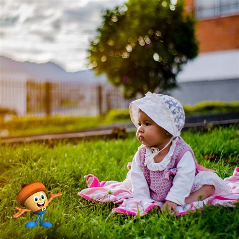 Image result for Big Seed ST Math