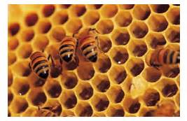 How To Read Box Plots 的图像结果