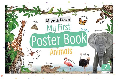 Buy Wild World Wonders: Animal Poster Book for 3+ Years Kids - Explore ...
