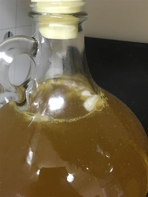 Growth one top of my T'ej (Ethiopian honey wine) any ideas of what it ...