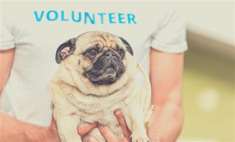 Image result for Example of Purpose