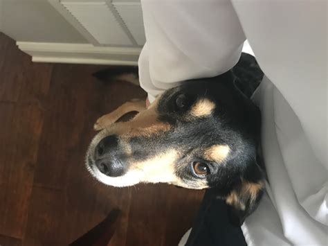 What is the best firm to be at for Fraud and Forensics and why? | Glassdoor