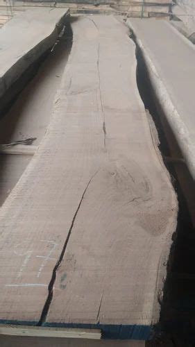 Timber - Live Edge Wood Trader - Wholesaler / Distributor from New Delhi