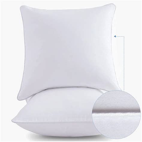 Amazon.com: Lipo 20 x 20 Pillow Inserts (Set of 2) - Throw Pillow ...