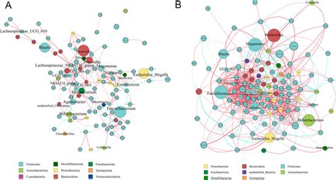 Image result for Workgroup Network Diagram