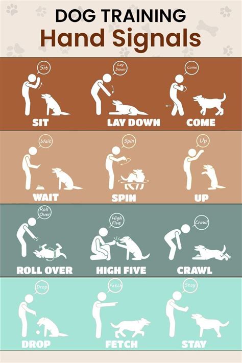 Image result for Hand Commands for Dogs