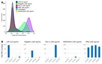 Jurkat JE6.1 NF-kB::eGFP hTLR5 (human Toll-like Receptor 5) Cell Line ...