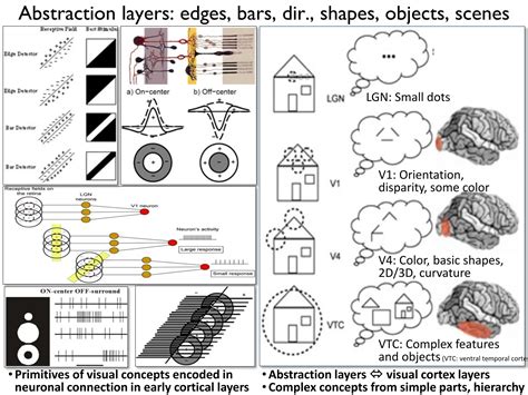 Image result for CNN Algorithm in Urdu