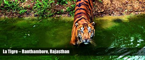 Viagginoriente - INCANTEVOLE NORD INDIA - 11 GIORNI - Lo Stato del ...