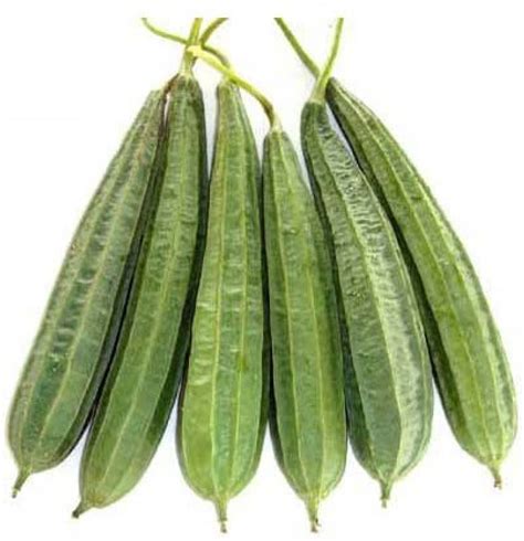 Medicinal uses of Ridge gourd