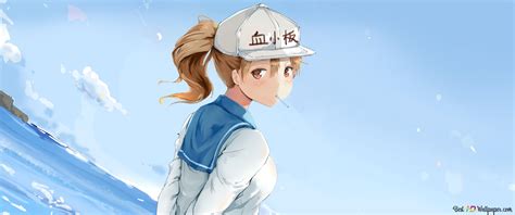 Cells At Work - Platelet 2K wallpaper download