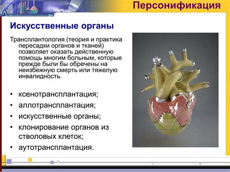 Проект на тему искусственные органы проблема и перспективы