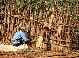 KCCB to roll out one-time settlement for farmers in Odisha's Koraput