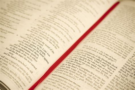 Free Images : writing, book, read, open, reading, line, religion, bible ...