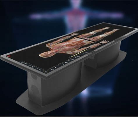 Virtual Dissection Table 的图像结果