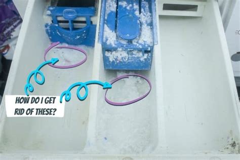 Image result for Washing Machine Conditioner Draw Not Emptying