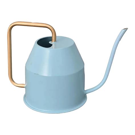 Ugaoo Calypso Watering Can - Sky Blue & Gold| Buy Now – BharatAgri ...